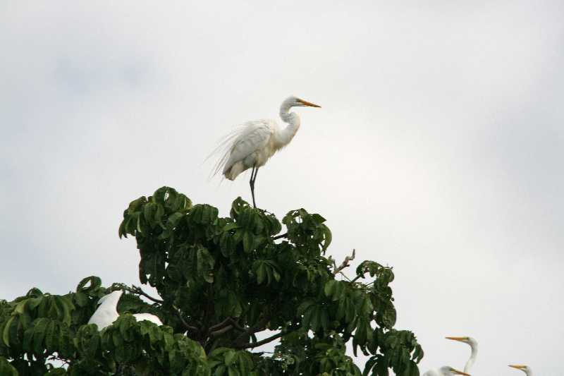 Mexico & Guatemala 2010 - 0925